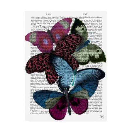 Fab Funky 'Big Bold Butterflies 1' Canvas Art,35x47